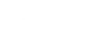 Wilson Sonsini